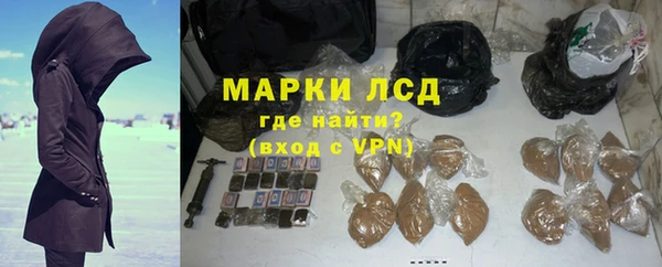 стаф Майский