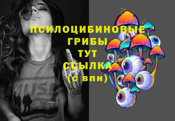 молекула духа Магас