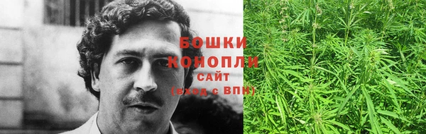 молекула духа Магас