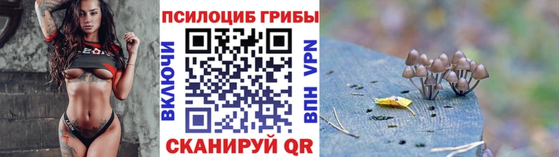 Галлюциногенные грибы GOLDEN TEACHER  Новоуральск 